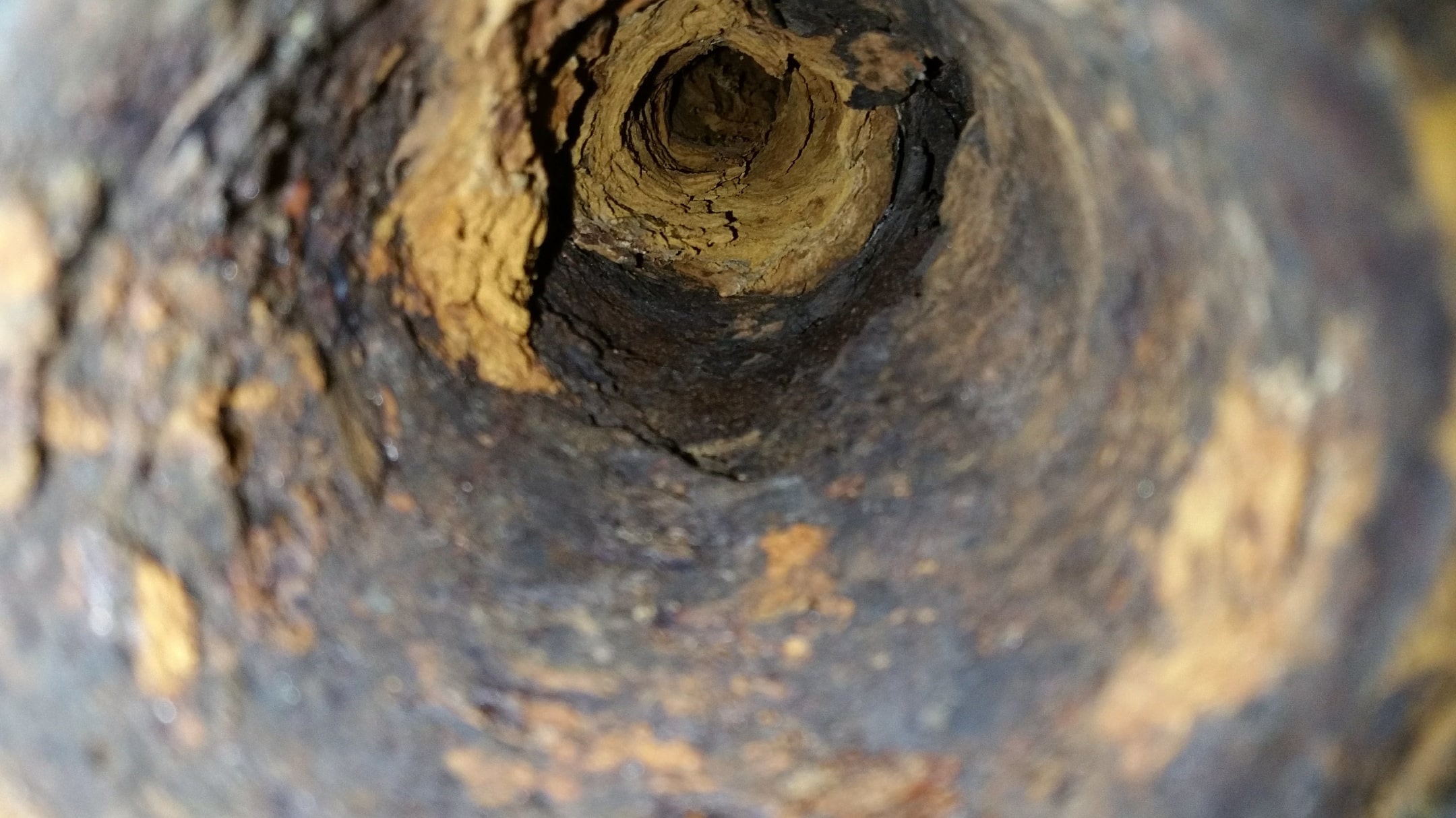 Understanding Summer Sewer Clogs in Webb City, Missouri